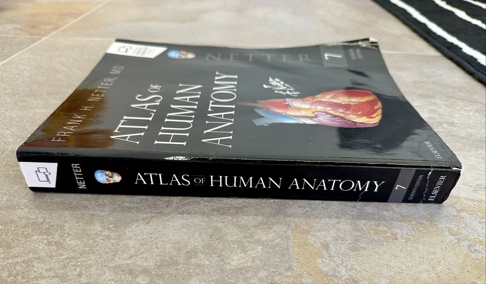 Livro Atlas of Human Anatomy (7ª Edição em Inglês) Frank H. Netter, MD