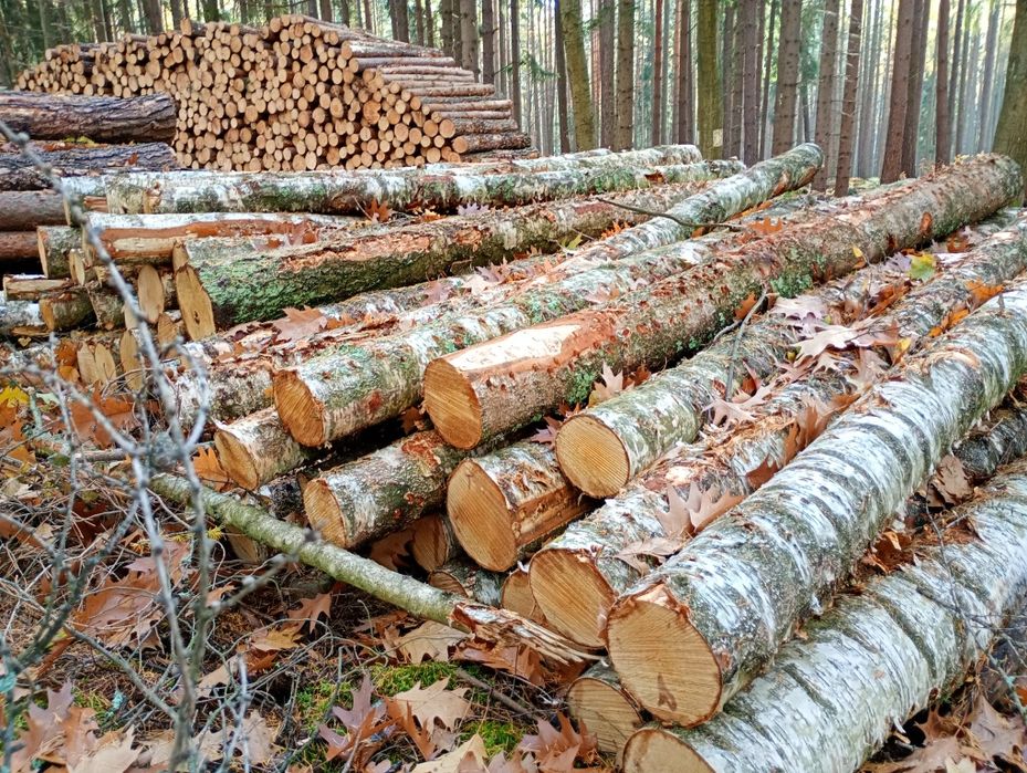 Drewno opałowe Sezonowane,Liściaste TWARDE buk-brzoza Transport GRATIS