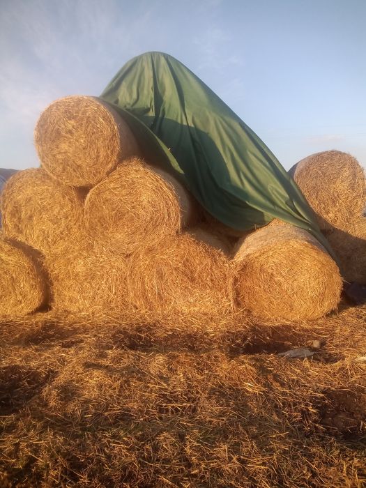 Słoma pod przykryciem