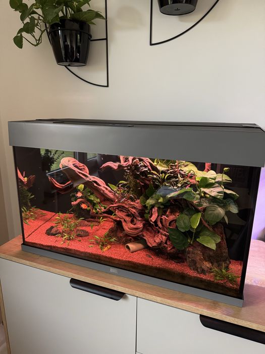 Akwarium Juwel rio 125l