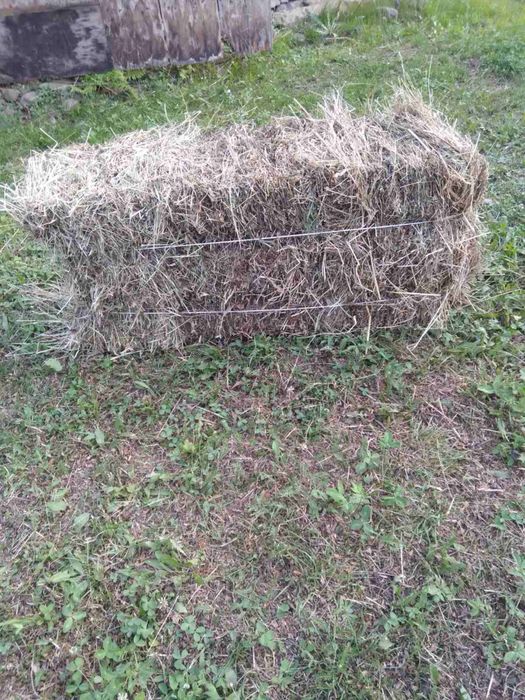 Продаж тюків( бал) сіно