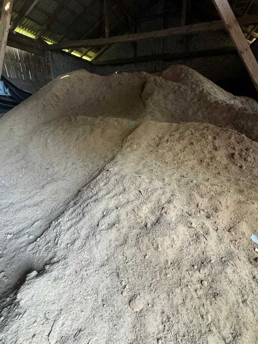 Trocina Dębowa sucha około 300m3