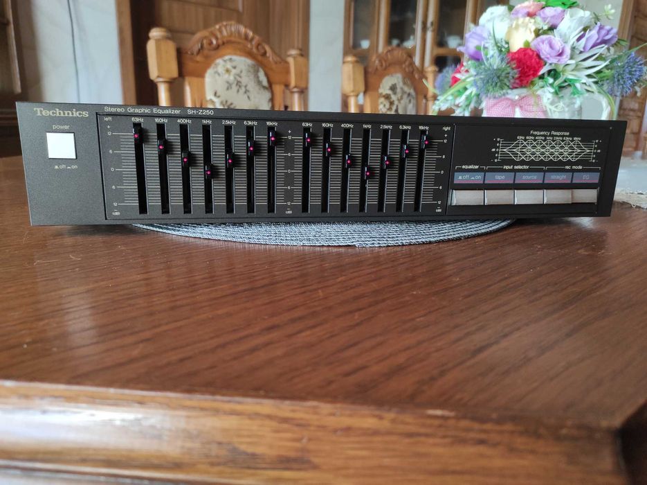 Korektor graficzny Technics SH-Z250