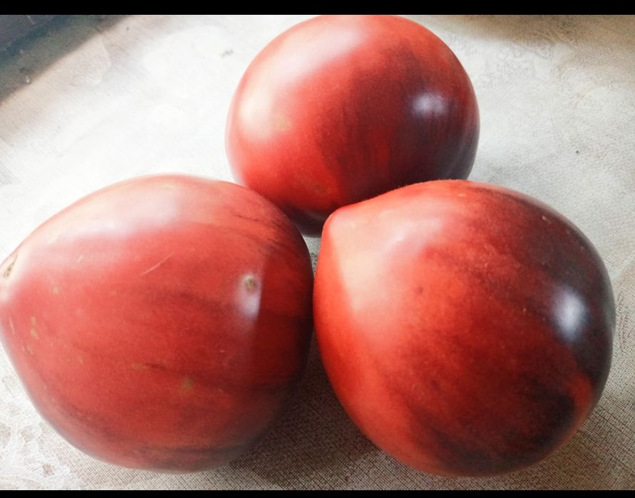 Насіння ексклюзивних томатів помідори,перець