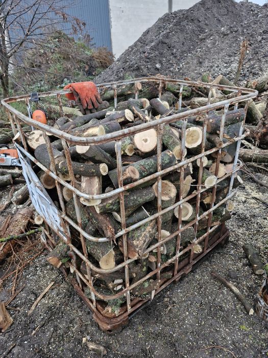 Drewno opałowe klon