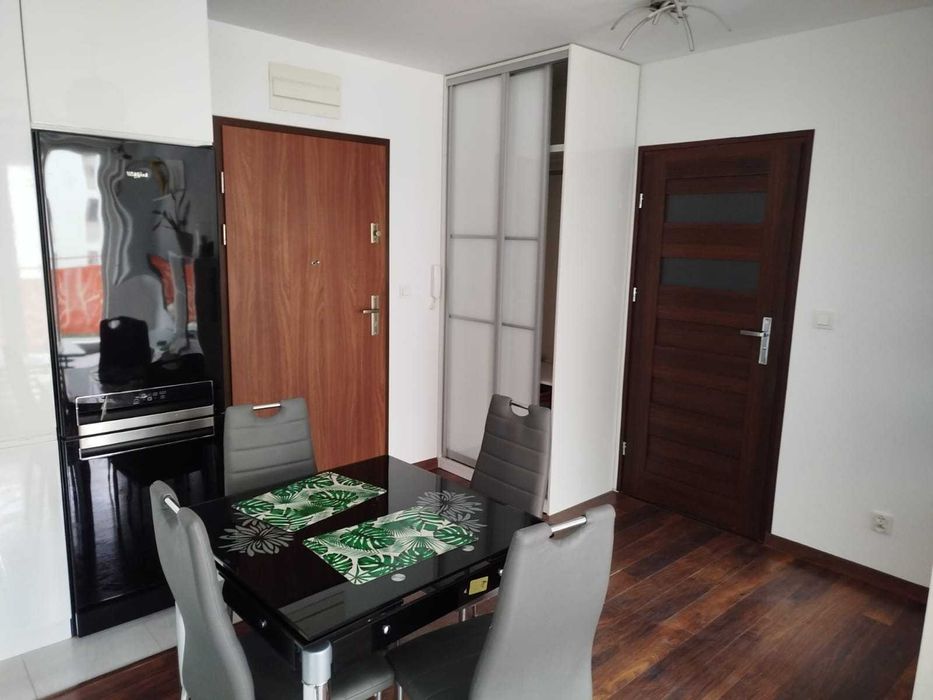 mieszkanie do wynajęcia