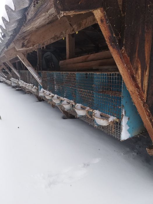 Srzedam klatki z siatkii