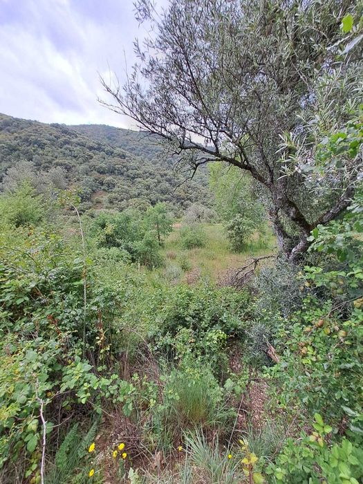 Venda de terreno com 2 600 m2 em Babe - Bragança