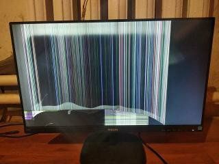 Монитор Philips24