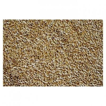 Mistura e sementes para aves