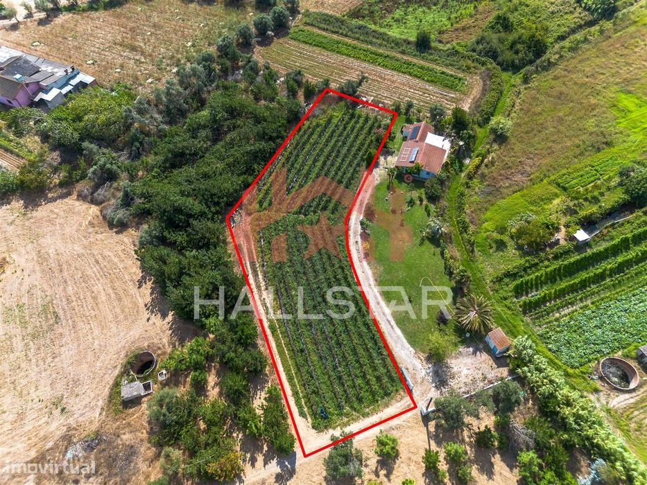 Terreno para construção / Área de 1848m² / Ortigosa
