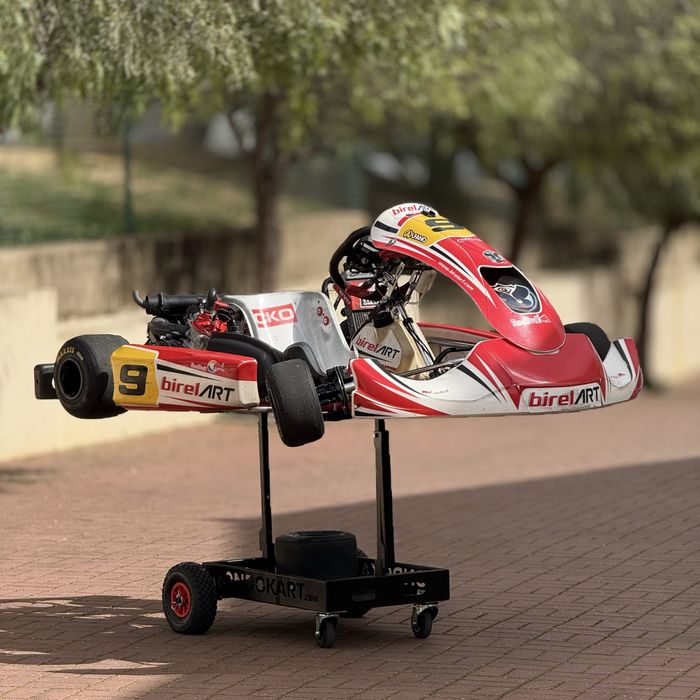 Kart Birel Art - Rotax DD2 Evo 125