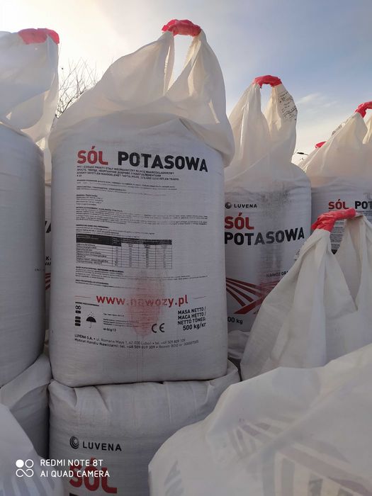 sól potasowa 60 % k2o cena brutto