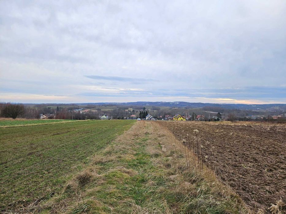 Działka leśna, las, Zgłobień