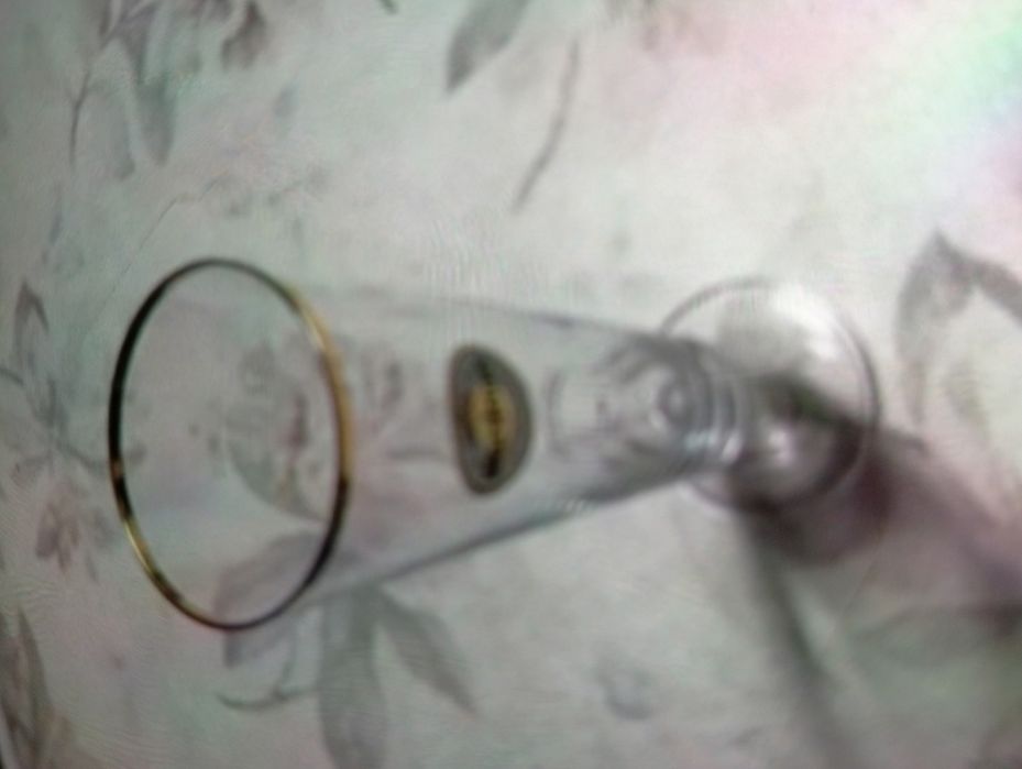 Conjunto de 12 copos de cerveja Tulipa Warsteiner