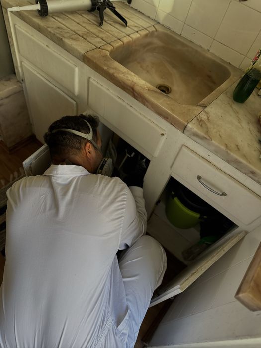 DESINFESTAÇÃO CONTROLO D EPRAGAS PERCEVEJOS BARATAS PULGAS TÉRMITAS