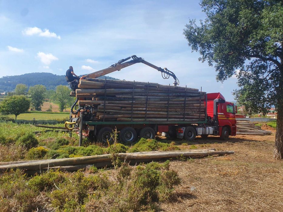 Postes telefone de madeira tratada