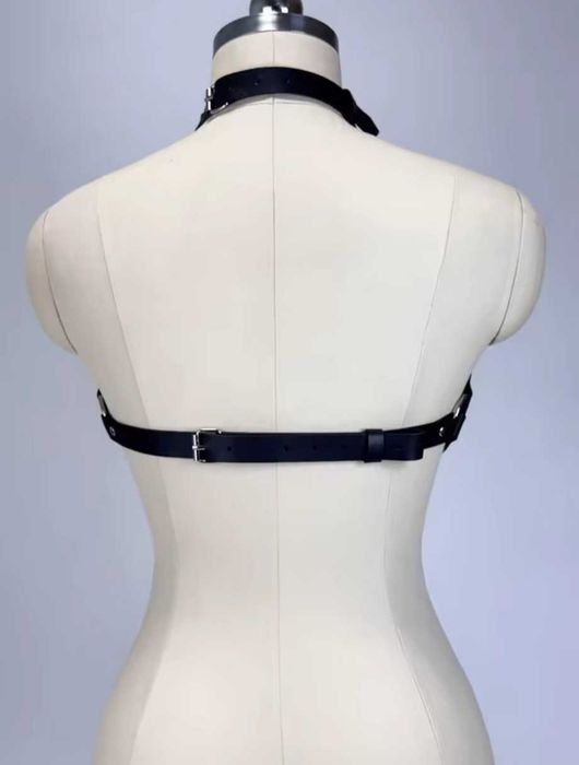 Harness, pasek, uprząż