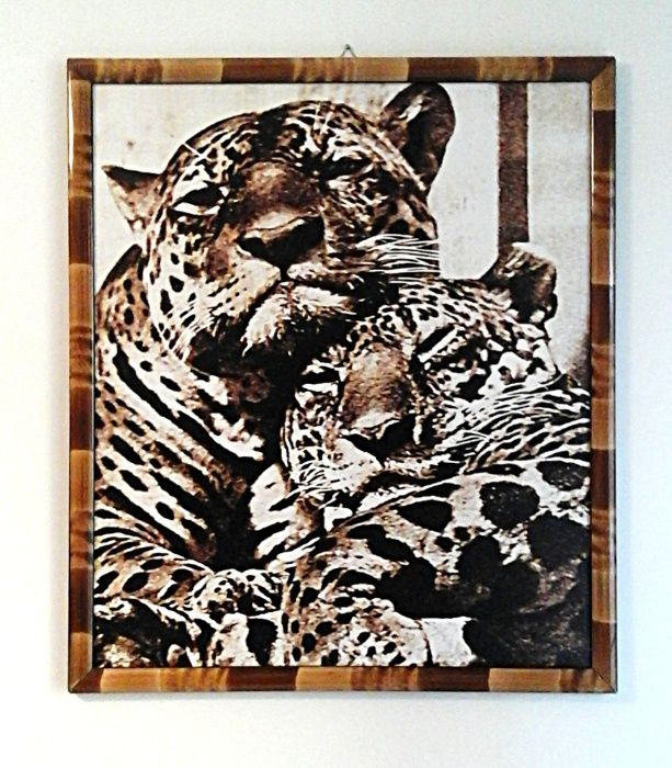 Obraz w ramie, reprint - Cętkowane w harmonii *