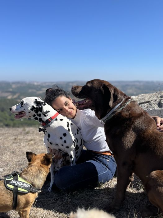ZOA- Pet setting e Estadias Familiares