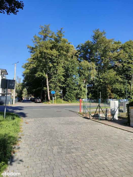 Zdjęcie 2