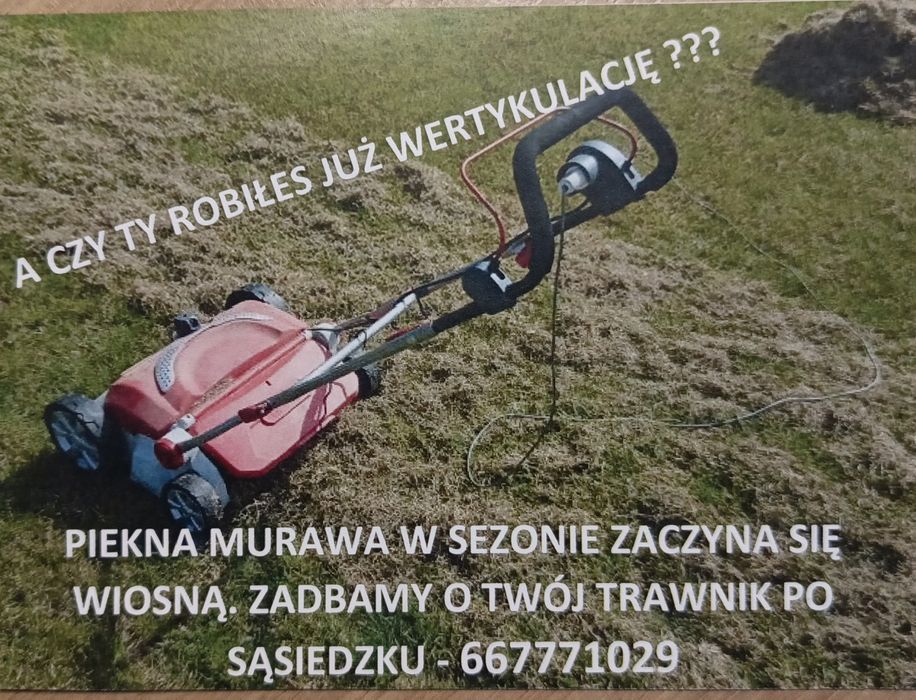 Wertykulacja trawnika