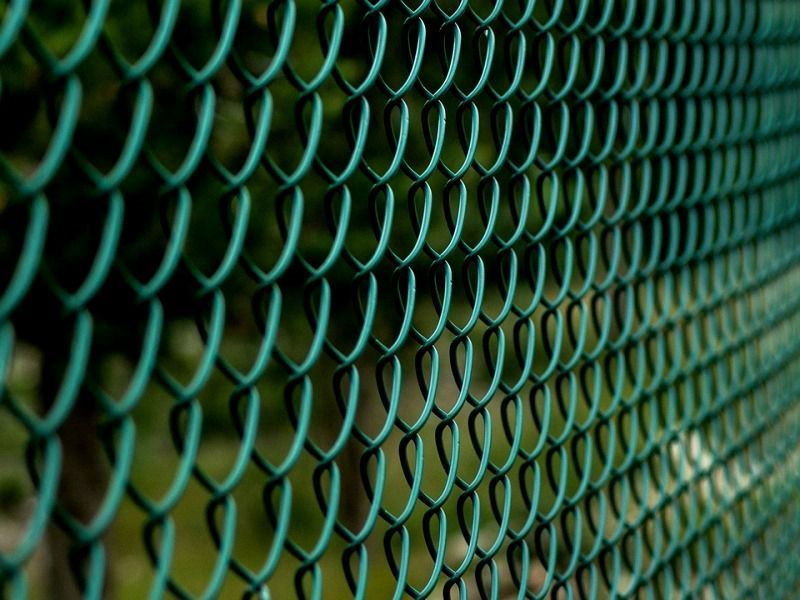 Siatka hodowlana zgrzewana 16x16  x1,2mm na woliery klatki dla gołębi