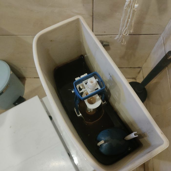 Господар в Дім.Муж на час.