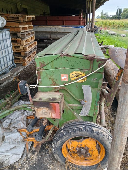 Siewnik amazone