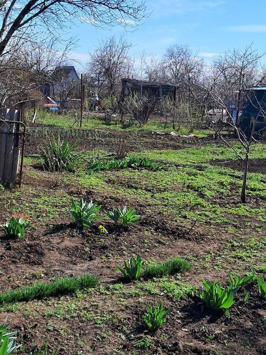 Павлоград продам дачний участок