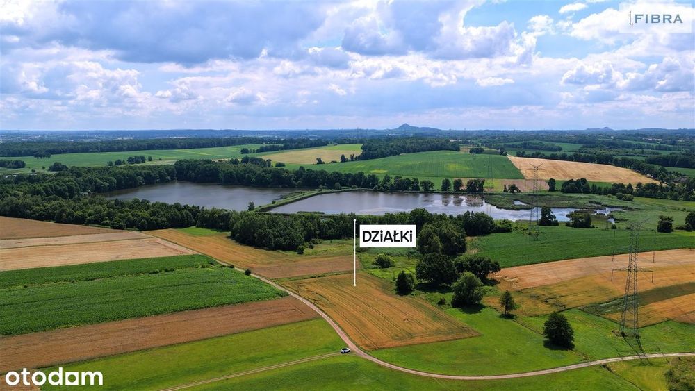 Tu zatrzymał się czas. Ekologiczne, prawie 0,5 ha