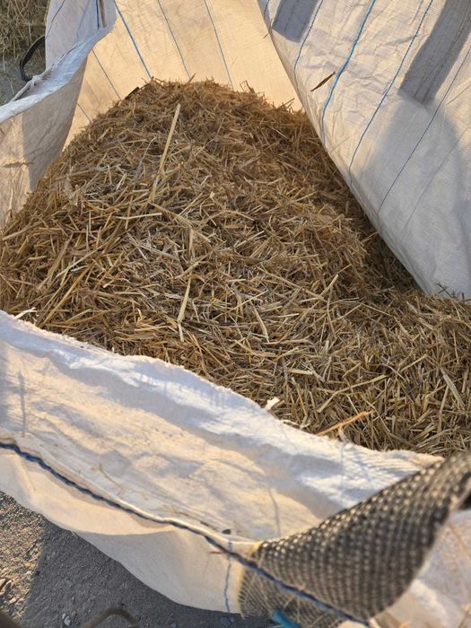 Palha triturada - GRÁTIS