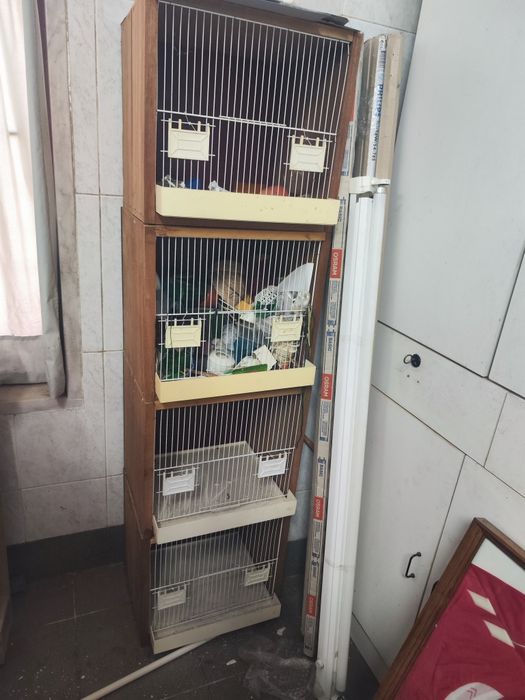 Viveiros para pássaros