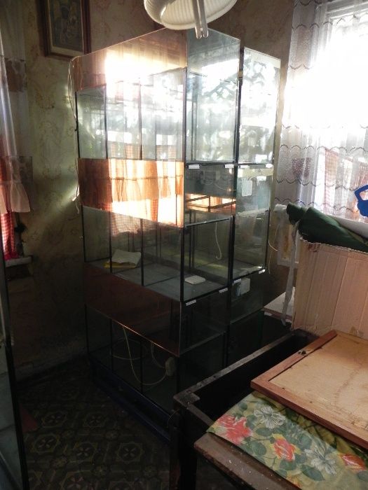 regały akwarystyczne