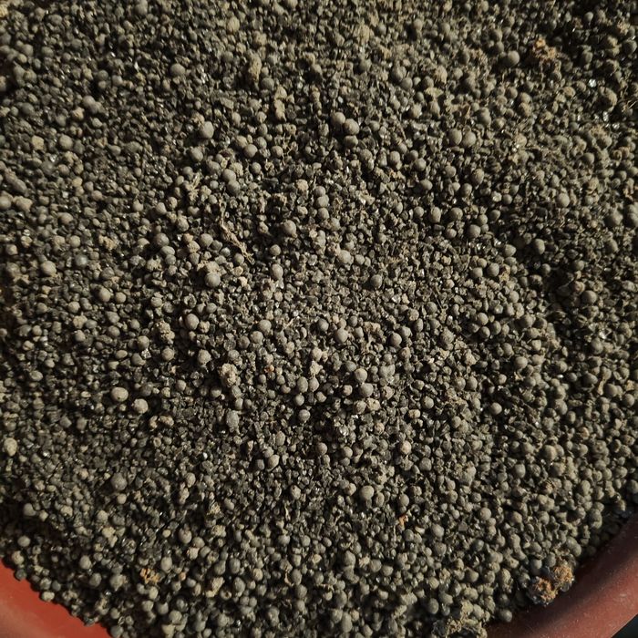 Czarny żwirek do akwarium