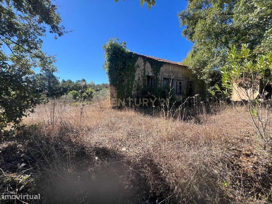 Oportunidade Única – Ruína com Terreno Amplo em Maçãs de Maria — Maçãs de Dona Maria, Leiria
