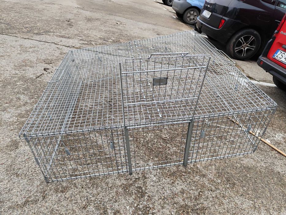 klatka pułapka dla kota