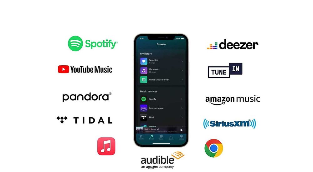 Odtwarzacz sieciowy Wiim PRO / dostępny od ręki