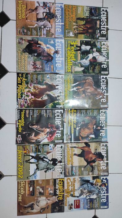 Lote 24 Revistas Ecuestre