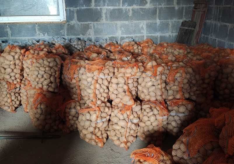 Ziemniaki jadalne na zimę