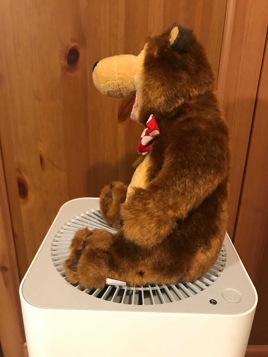 MASZA I NIEDŹWIEDŹ | медведь | Мишка | Miszka | zabawka interaktywna