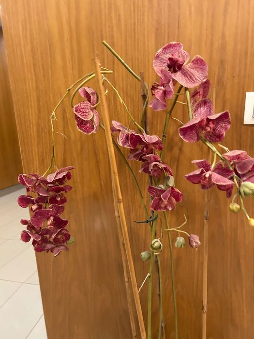 Vaso decorativo Orquídeas