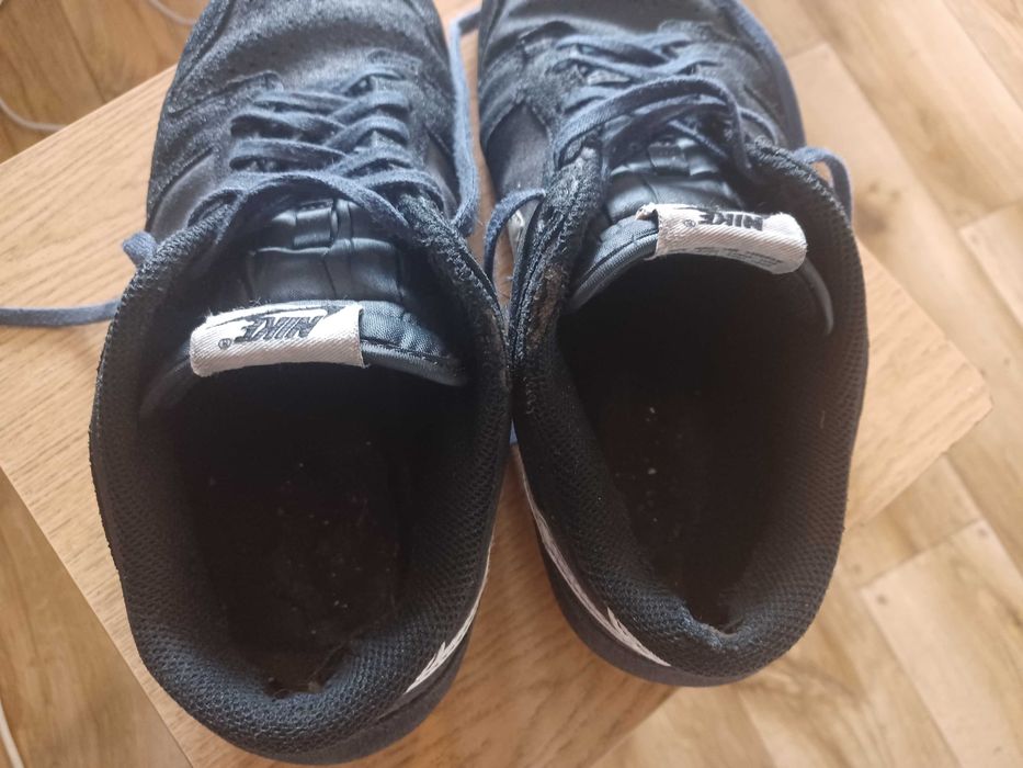 Nike dunk low pro