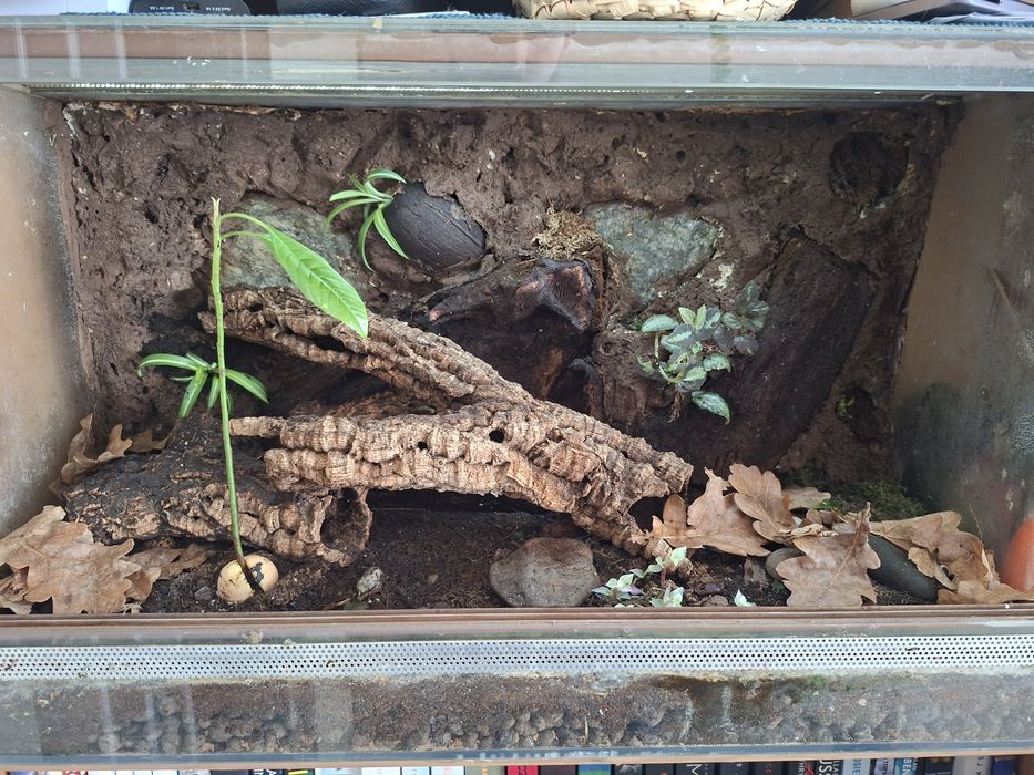 Terrarium 70/40/30