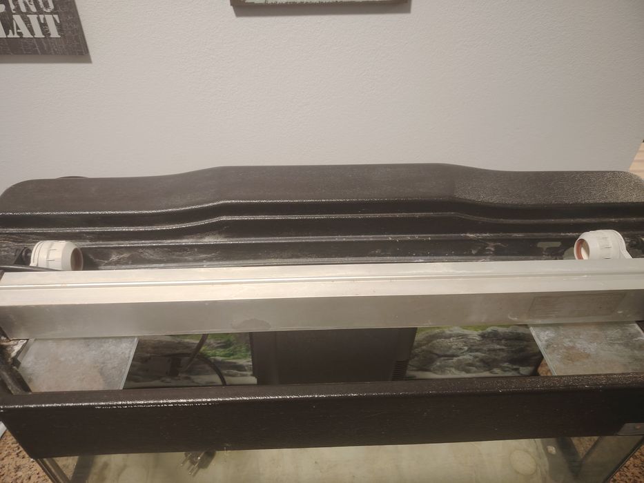 Aquário panorâmico