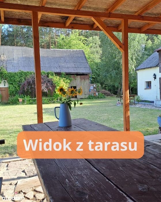 Dom rustykalny na działce w Borach Tucholskich