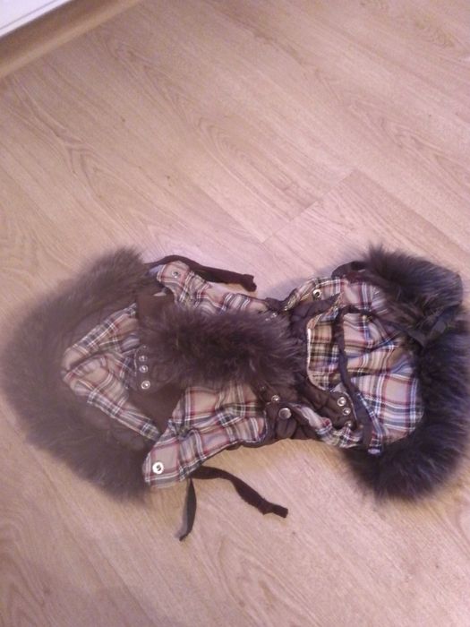 Продам комбинезон на собачку