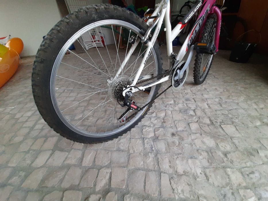 Bicicleta de Criança Wheel Worx
