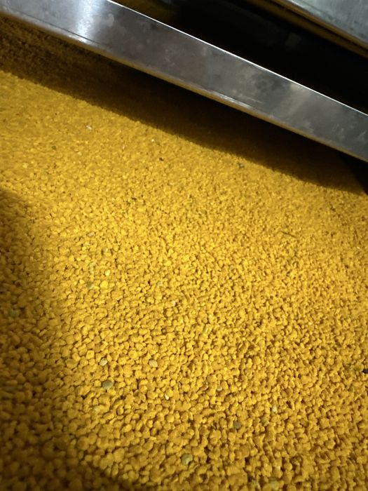 Polén apicola Colheita 2026