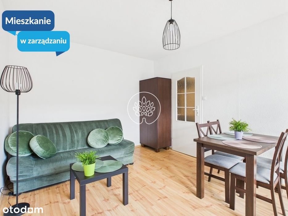 Mieszkanie 2 pokojowe na wynajem.
